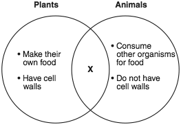 producer vs consumer venn diagram magdalene project org producer and consumer venn diagram